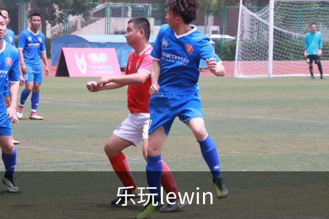 乐玩lewin